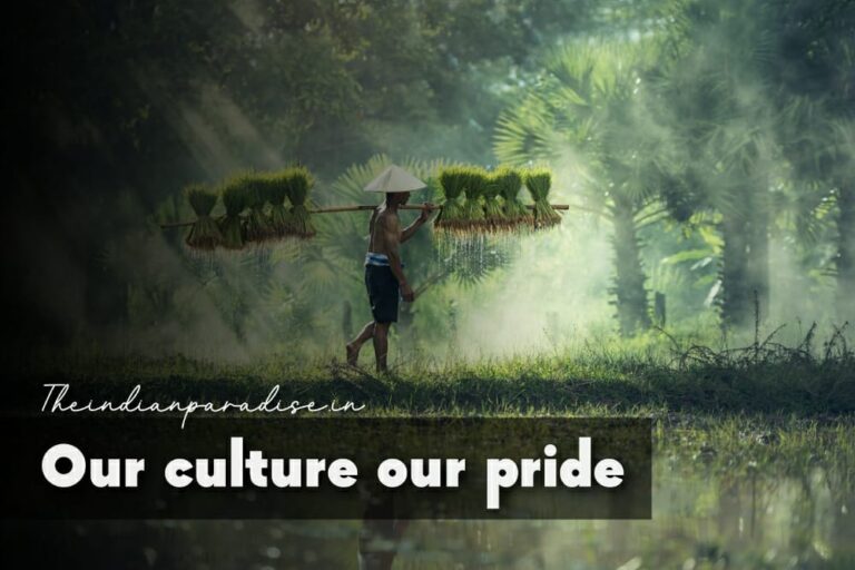 essay for our culture is our pride
